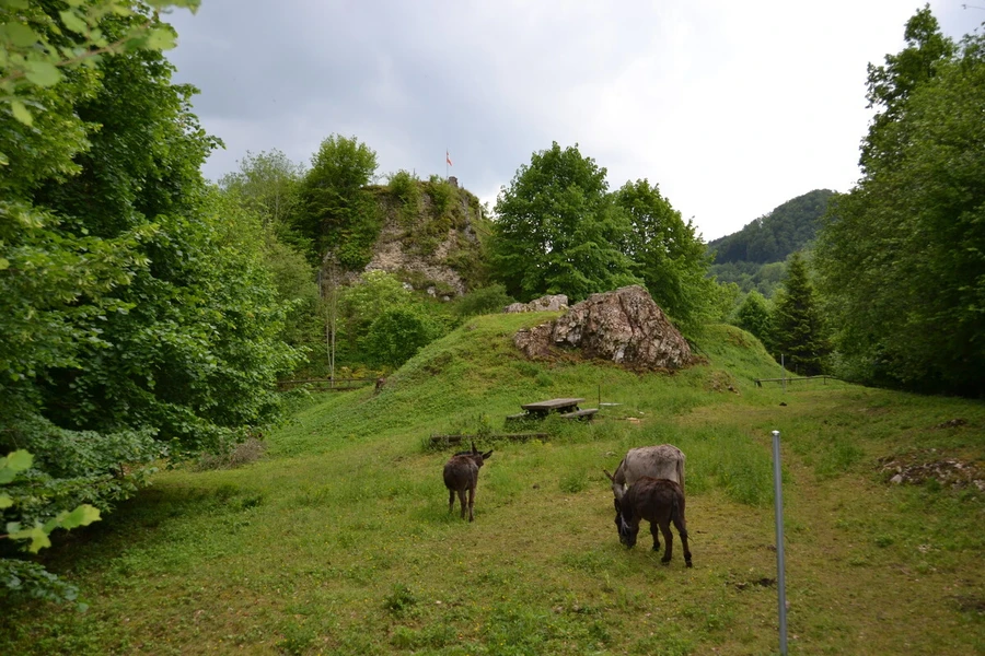No 6 Château d’Asuel 