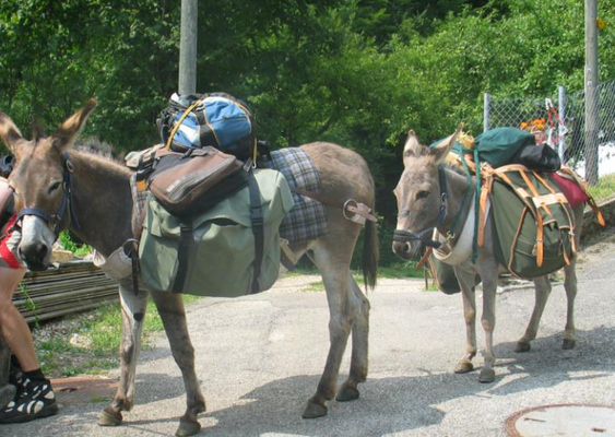 Transport de matériel