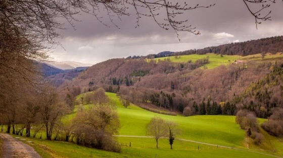 No 2 Roche au Vilain